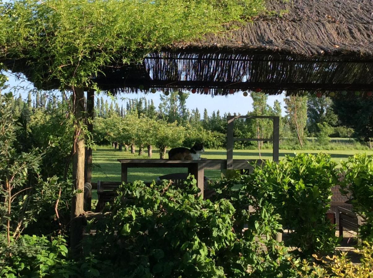 Bed & Breakfast La Bergerie De Castellan