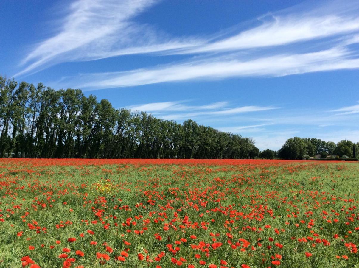 La Bergerie De Castellan Bed & Breakfast