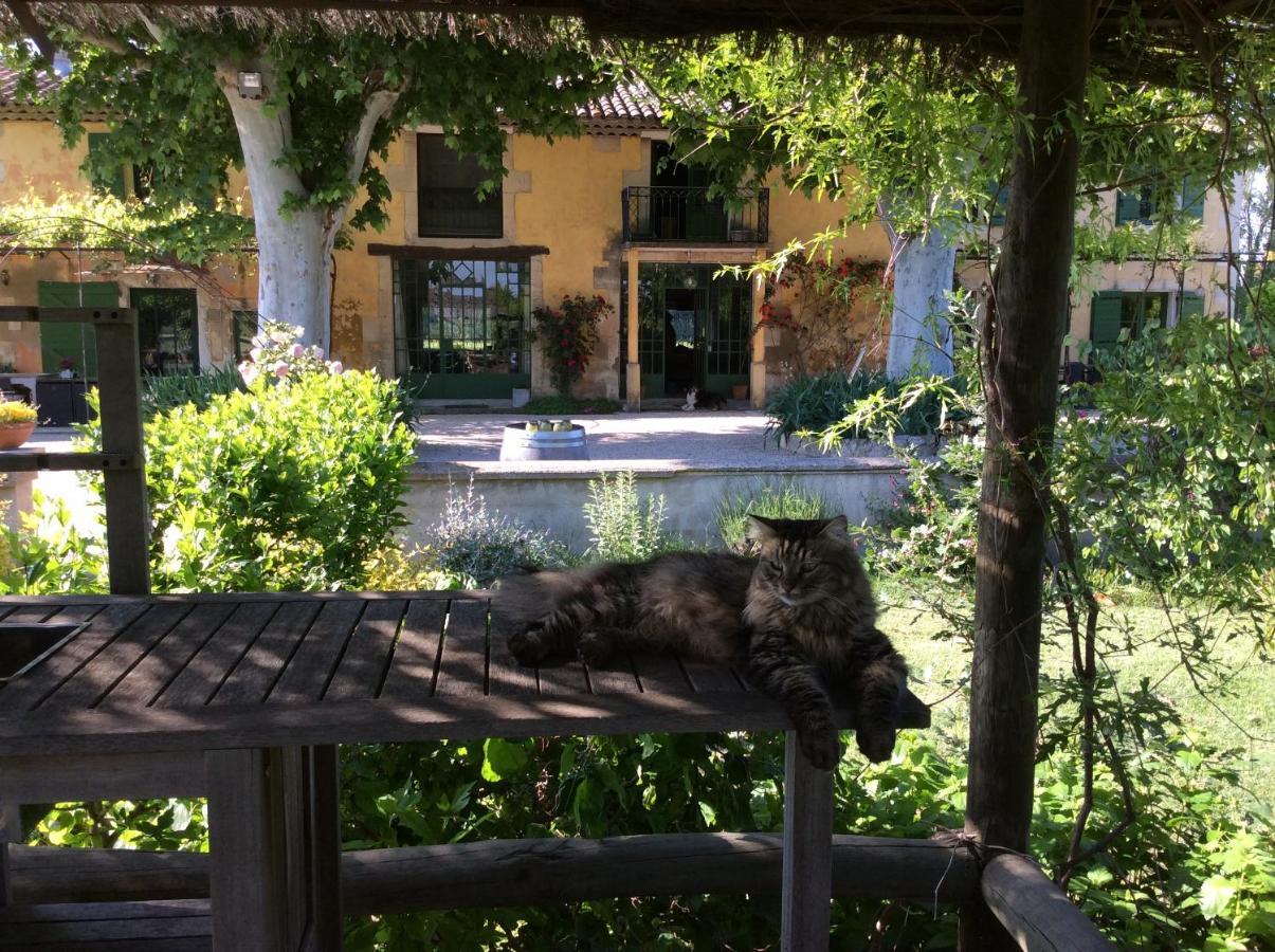 Bed & Breakfast La Bergerie De Castellan *
