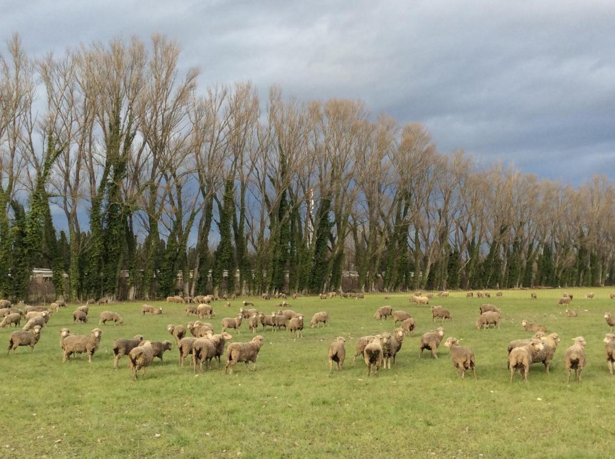 La Bergerie De Castellan Bed & Breakfast *